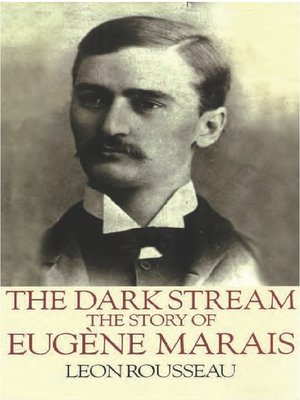 cover image of The Dark Stream